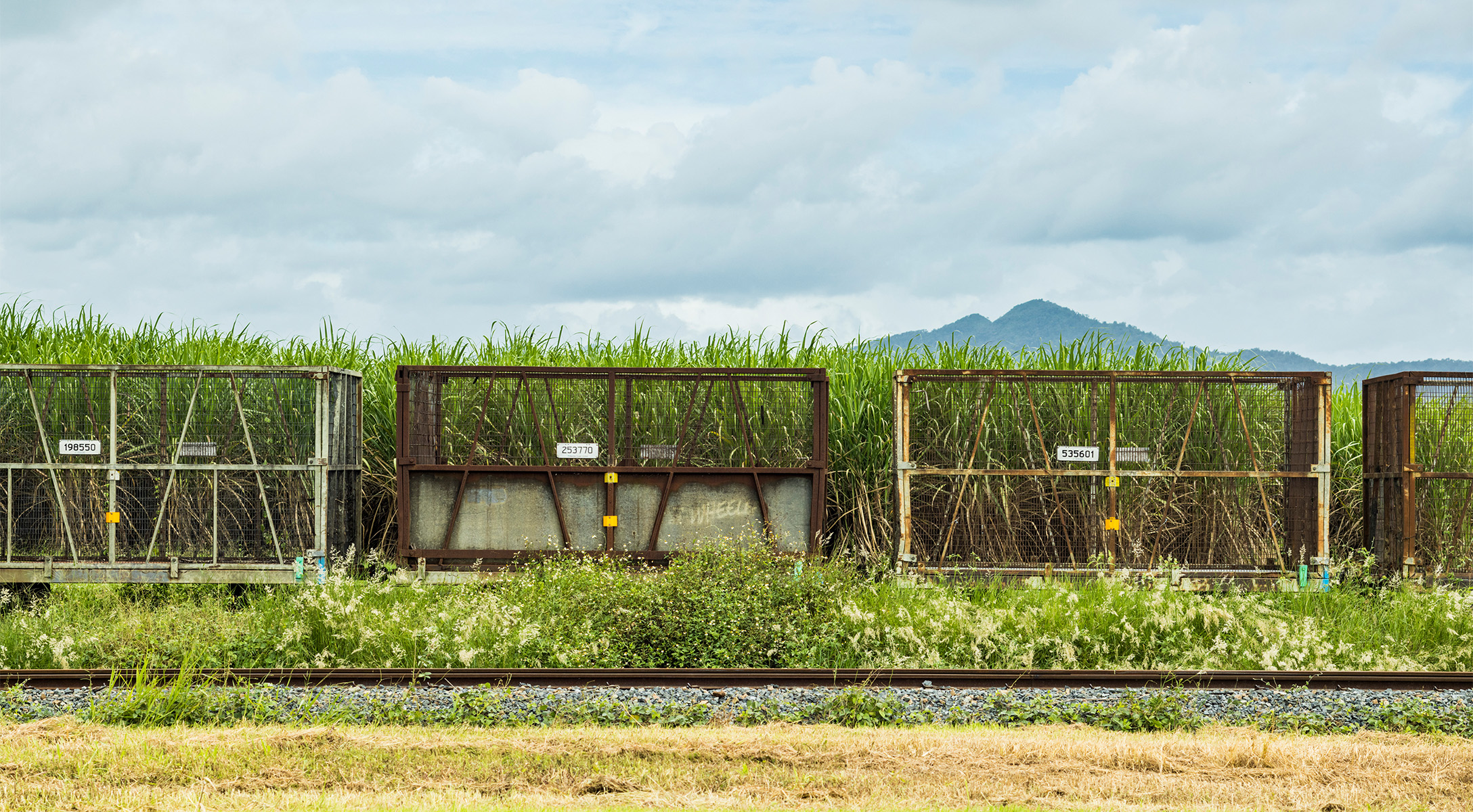 Wayfinding design references include the old sugar cane bins with their angles steel bracing