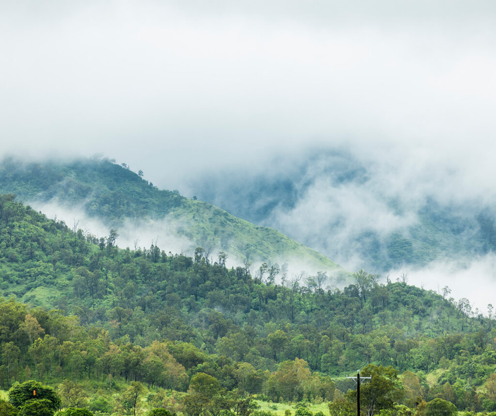 There are 100km of world-class trails